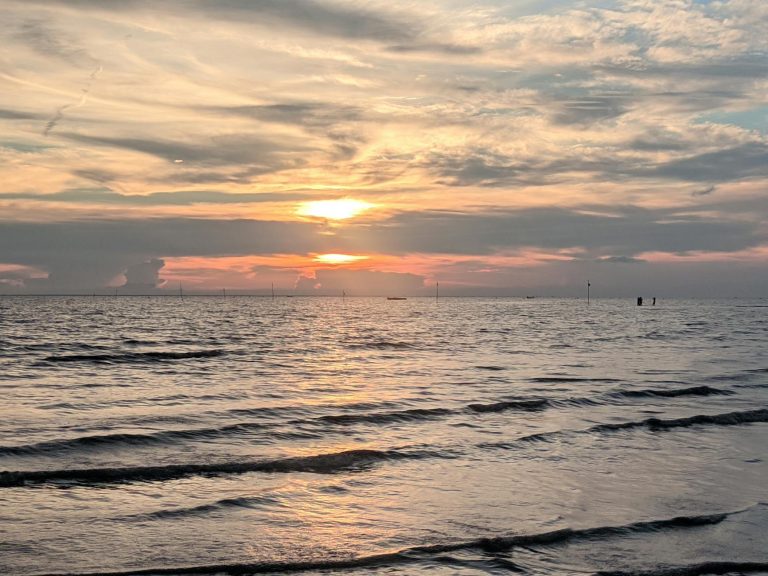 boosting conversion through SEO‑friendly e‑commerce product pages