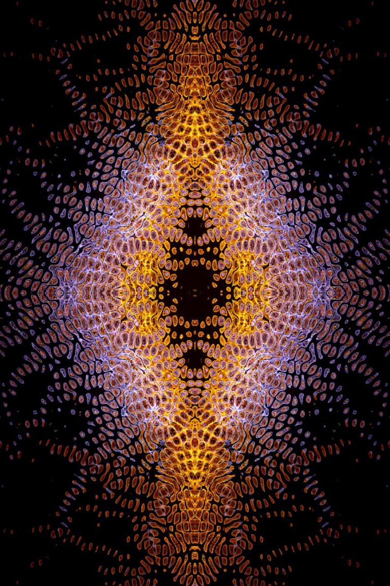 Cookie banners that pass acma scrutiny